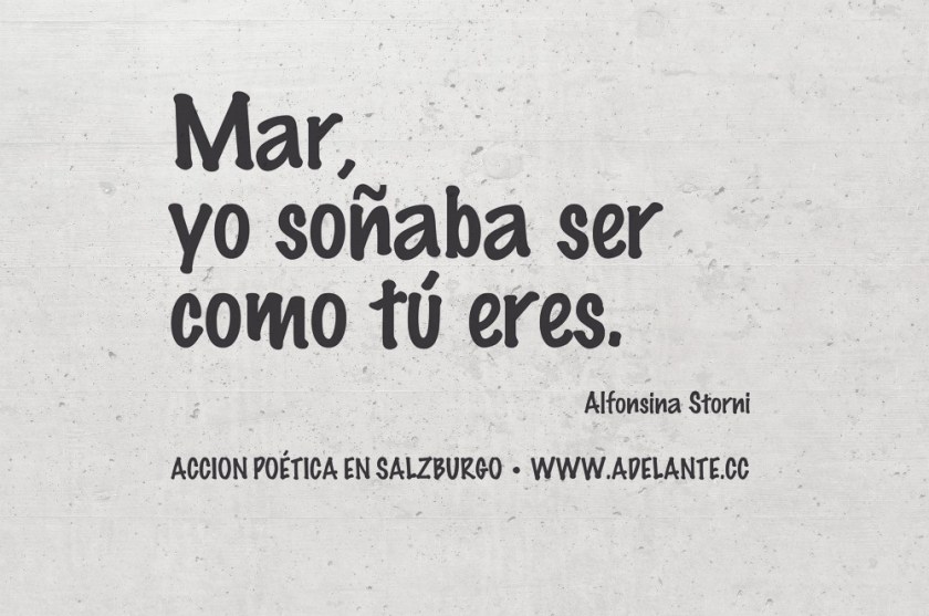 accion-poetica-web-storni